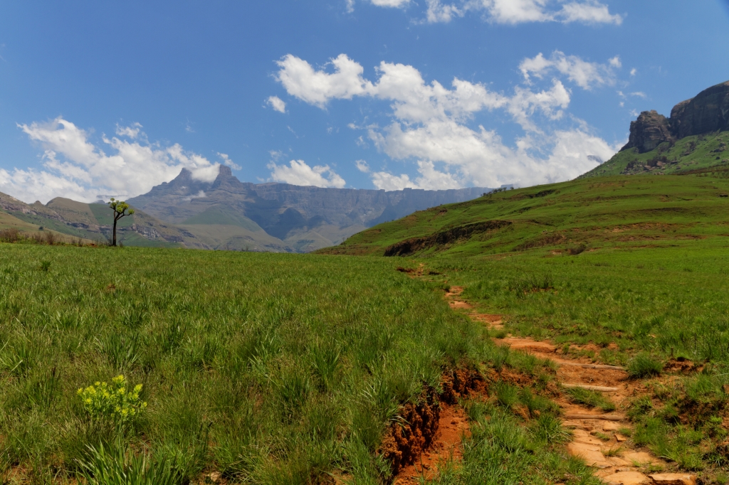 07 - Drankensberg NP (19).jpg